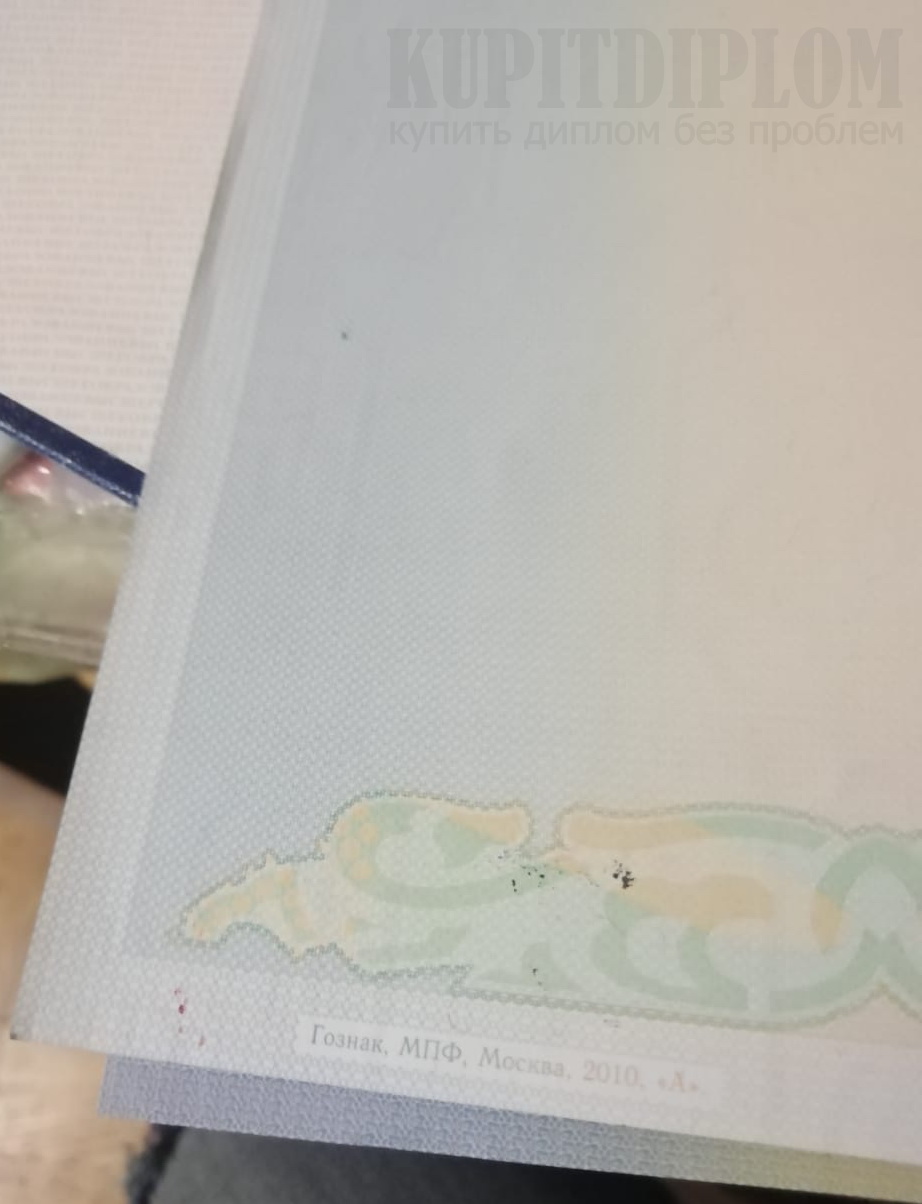 Бланк диплома негосударственного вуза изготовлен в типографии ГоЗнак